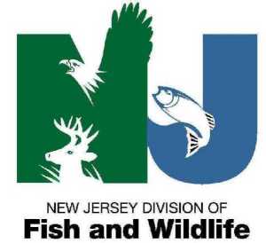 NJ Fish and Wildlife