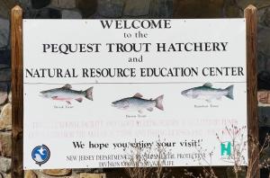 Pequest Hatchery