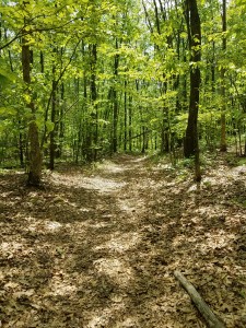 Mount Hope Park, Morris County, New Jersey