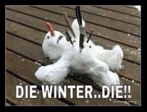Die winter die
